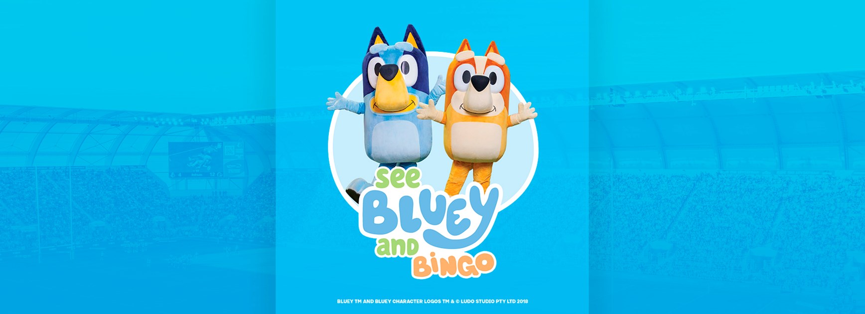 Wackadoo! Bluey & Bingo are coming to Cbus Super Stadium