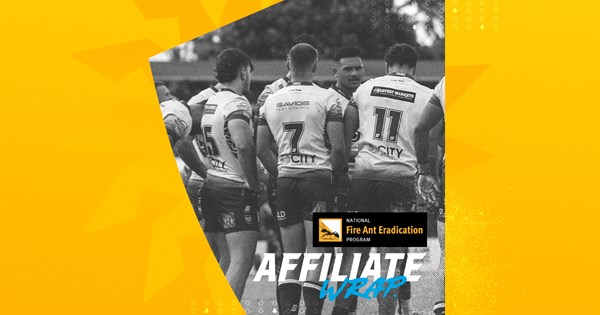 Hss Falcon NRL 2024: Titans, Affiliate wrap: HSS return helps Jets down Falcons in ...
