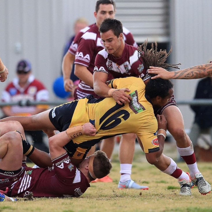 New Bears add energy